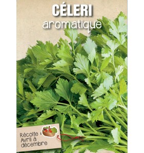 CELERI AROMATIQUE