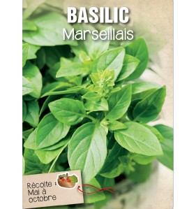 BASILIC MARSEILLAIS