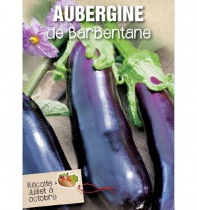 AUBERGINE DE BARBENTANE