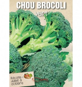 CHOU BROCOLI VERT