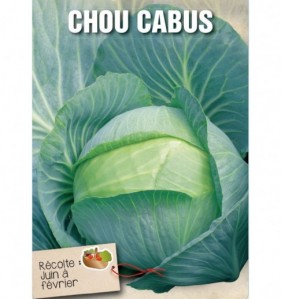 CHOU CABUS