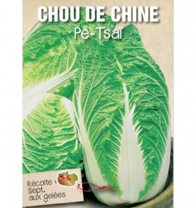 CHOU DE CHINE PE-TSAI