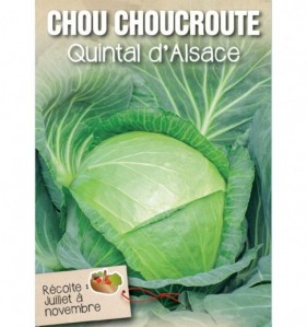 CHOU CHOUCROUTE QUINTAL D'ALSACE