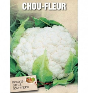 CHOU-FLEUR