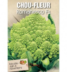 CHOU-FLEUR ROMANESCO F1