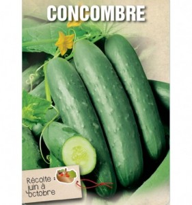 CONCOMBRE