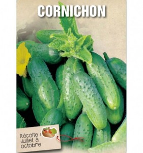 CORNICHON