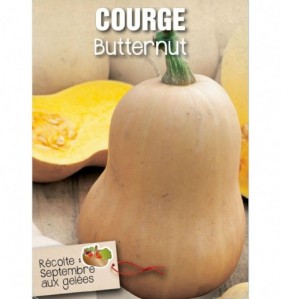 COURGE BUTTERNUT