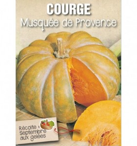 COURGE MUSQUEE DE PROVENCE