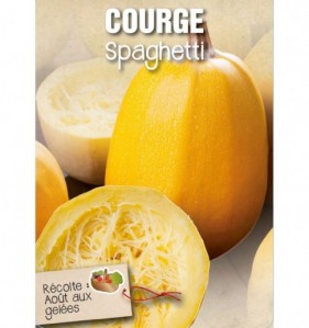 COURGE SPAGHETTI