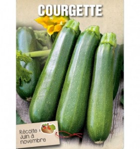 COURGETTE