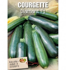 COURGETTE DIAMANT F1