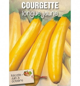 COURGETTE LONGUE JAUNE