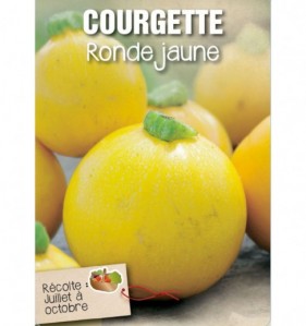 COURGETTE RONDE JAUNE