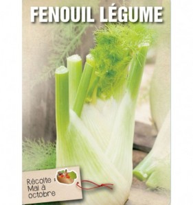 FENOUIL LEGUME