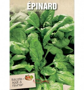 EPINARD