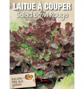 LAITUE A COUPER SALAD BOWL ROUGE