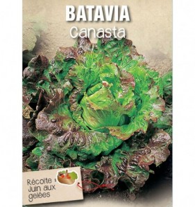 BATAVIA CANASTA