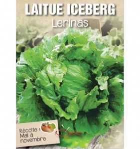 LAITUE ICEBERG LERINAS