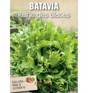 BATAVIA REINE DES GLACES