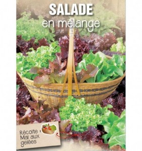 SALADE EN MELANGE