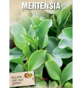 MERTENSIA