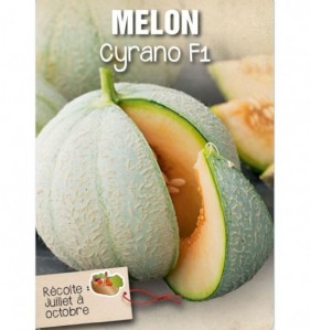 MELON CYRANO F1