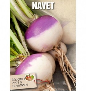 NAVET