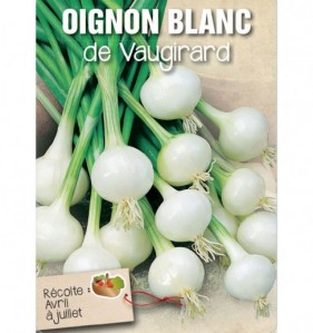 OIGNON BLANC DE VAUGIRARD