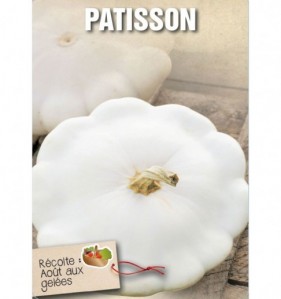 PATISSON