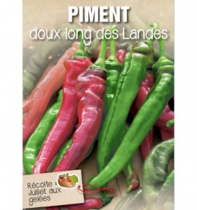 PIMENT DOUX LONG DES LANDES