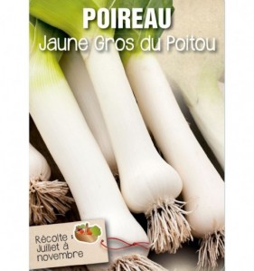 POIREAU JAUNE GROS DU POITOU