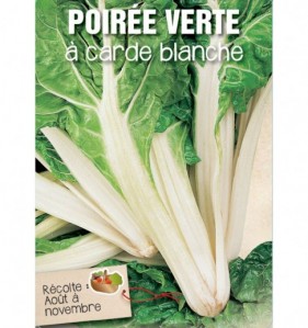 POIREE VERTE A CARDE BLANCHE