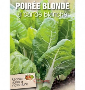 POIREE BLONDE A CARDE BLANCHE