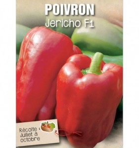 POIVRON JERICHO F1