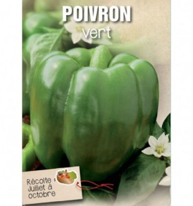 POIVRON VERT