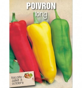 POIVRON LONG EN MELANGE