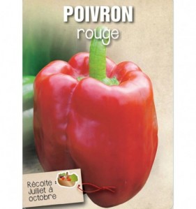 POIVRON ROUGE