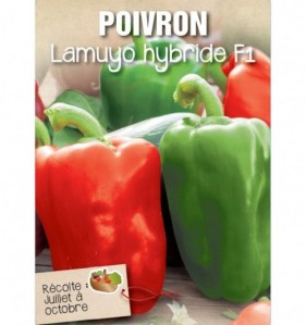 POIVRON LAMUYO HYBRIDE F1