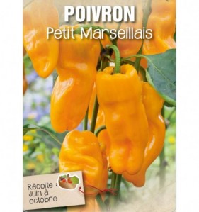 POIVRON PETIT MARSEILLAIS