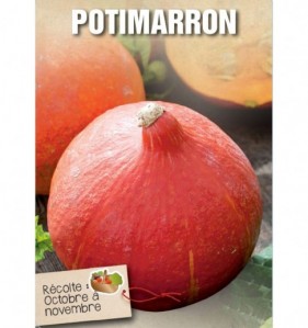 POTIMARRON