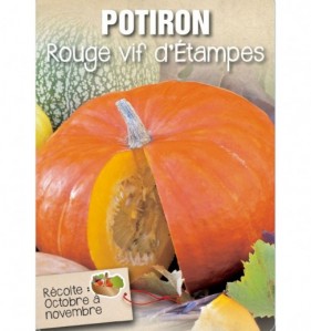 POTIRON ROUGE VIF D'ETAMPES