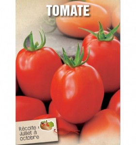 TOMATE