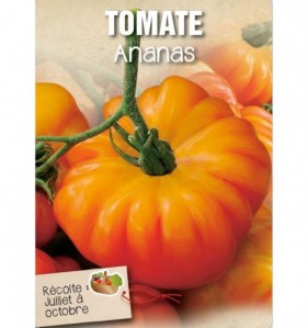 TOMATE ANANAS