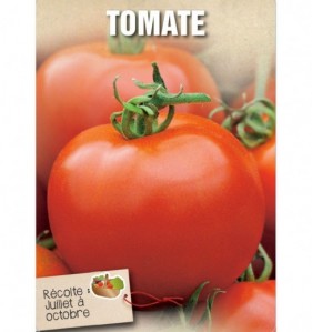 TOMATE