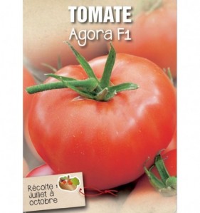 TOMATE AGORA F1