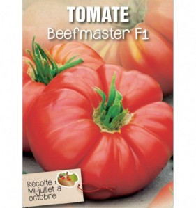 TOMATE BEEFMASTER F1