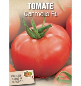 TOMATE CARMELLO F1