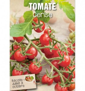 TOMATE CERISE