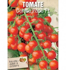 TOMATE CERISE PEPE F1